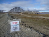 Fototapeta Sawanna - przydrożny znak ostrzegający o obecności niedźwiedzi polarnych przy jednej z szutrowych dróg na grenlandii