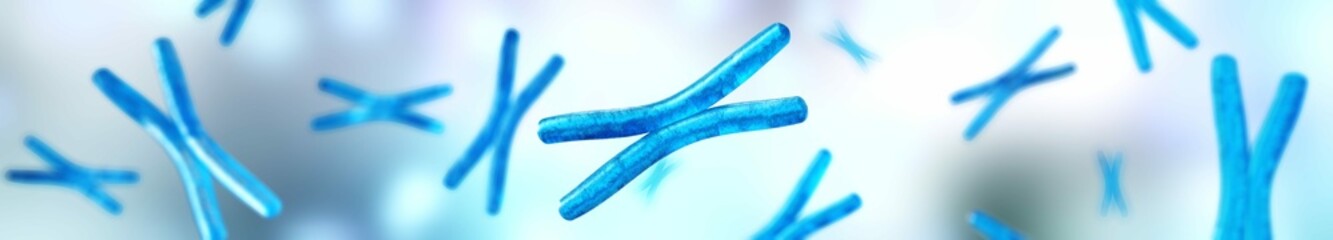 Poster - Set of chromosomes, X chromosome close up on a blurred background, human genome, 3d rendering