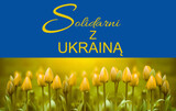Fototapeta Tulipany - Solidarni z Ukrainą. Ukraina