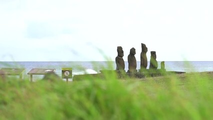 Wall Mural - moai group and grass with wind