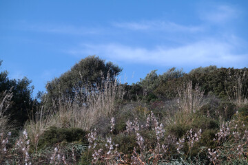 Poster - Paesaggio