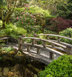 Japanese Garden with bridge over water