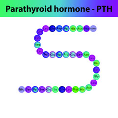 PTH Parathyroid hormone hormone peptide primary structure. Biomolecule schematic amino acid sequence on white background.