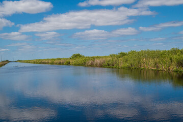 Fototapete - florida everglades white cloud reflections in the water