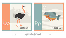 Illustrated Alphabet With Animals For Kids. Letter O For Ostrich And Letter P For Piranha. Vector Collection Of Wildlife. For Printable Cards, Learning Tools, Decor.