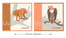 Illustrated Alphabet With Animals For Kids. Letter U For Uakari And Letter V For Vulture. Vector Collection Of Wildlife. For Printable Cards, Learning Tools, Decor.