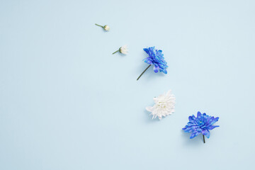 Wall Mural - Creative layout made with blue and white flowers on bright background. Flat lay. Spring minimal concept.