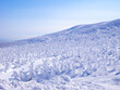 © Mayumi.K.Photography - Snow monsters (soft rime) plateau. (Zao-onsen ski resort, Yamagata, Japan)