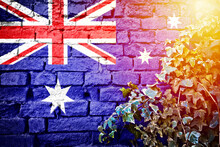 Australia Grunge Flag On Brick Wall With Ivy Plant Sun Haze View