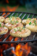 Wall Mural - Hot roasted halloumi cheese with herbs and spices.