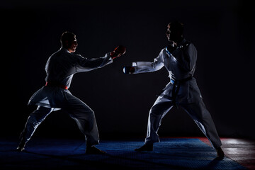 Wall Mural - Kata training men isolated on dark background