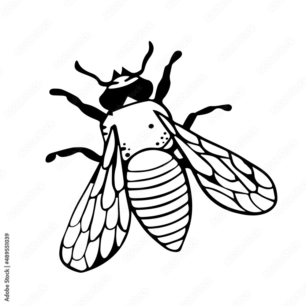 Flying Insect Dodles Vector de Stock fly with wings in the style of doodles. Vector black ...