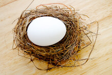Close Up Of A Small Birds Nest With One Large Hen Egg	
