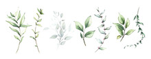 Watercolor Floral Set Of Green Leaves, Branches, Twigs Etc. Vector Traced Isolated Greenery Illustration. 