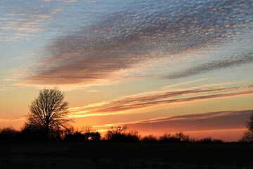 Wall Mural - Dramatic Sunset Over a Field