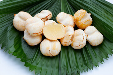 Wall Mural - Toddy palm on green leaves