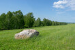 © Eugene - Large stone lying in the grass in the meadow. Limestone. Summer landscape.