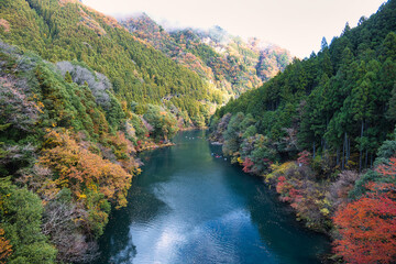 数馬峡橋から見る奥多摩の紅葉2