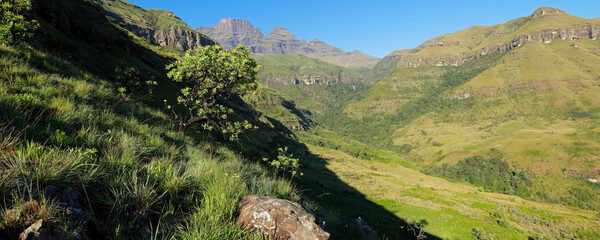 Poster - Scenic panoramic view of the Drakensberg mountains, South Africa.