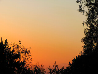 Wall Mural - Nature silhouette with a sunset on the background