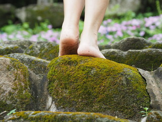 A woman's bare feet touched nature, standing on a rock covered with green moss. perfect natural environment