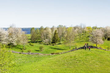 Wall Mural - view of meadows and a lake in the spring