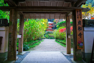 Wall Mural - 京都　岩船寺（がんせんじ）の山門