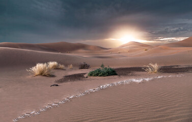 Wall Mural - sand sunset neom