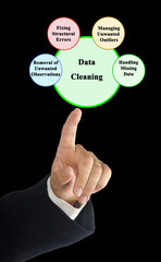 Wall Mural - four components of data cleaning