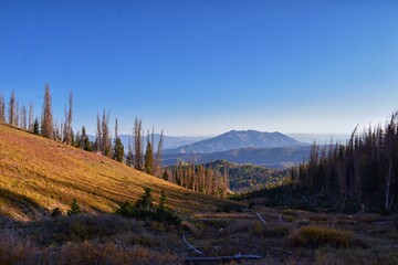 Views from hiking trail of Mount Nebo Wilderness Peak 11,933 feet, fall leaves panoramic, highest in the Wasatch Range of Utah, Uinta National Forest, United States. USA.
