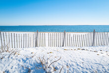 Snow On The Beach With Sand-fence And Bare Rosehip Trees. 