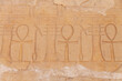 © eevlada - Egypt Tour, Luxor, January 2022