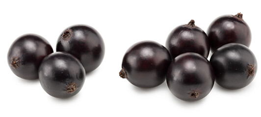 Wall Mural - black currant isolated on white background. macro. clipping path