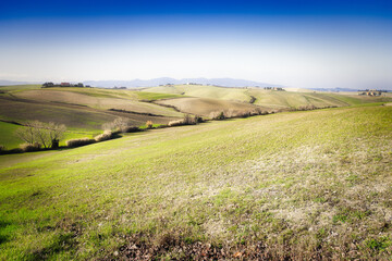 Canvas Print - ambienti rurali