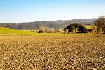 Poster - ambienti agricoli