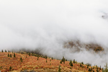 Canada, Yukon, Whitehorse, Clouds And Fog Above Hills