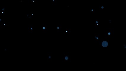 Wall Mural - real blue dust particles floating in the air. organic dust particles macro slow motion recording red