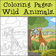 Coloring Pages: Wild Animals. Big giraffe with long neck stands and eats leaves.