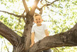 © kieferpix - Happy smiling little boy climbing playing in a tree