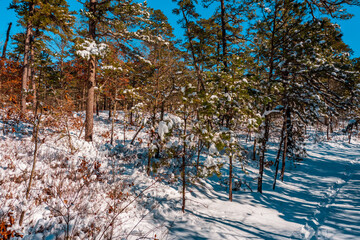 Wall Mural - snow on the lake