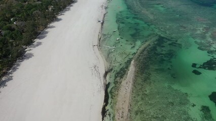 Wall Mural - Top view of jet ski drives speed water sea Drone view Coastline Diani beach landscape Kenyan African Sea  aerial 4k waves indan ocean tropical mombasa turquoise white sand East Africa paradise