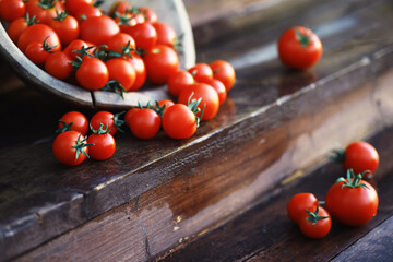 Wall Mural - Ecological fresh farm cherry tomatoes on a wooden background.