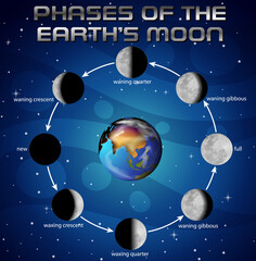 Wall Mural - phases of the moon for science education