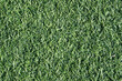 Green grass texture. Artificial grass background. Lawn in backyard. Garden backdrop. Vibrant color closeup macro pattern. 