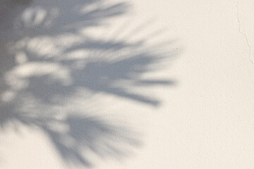 Palm tree shadows on beige concrete rough textured background. Dark silhouette of the exotic leaves in sunlight. Summer vacation, travel concept. Natural shadow overlay. Flat lay, top view. Copy space