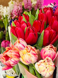 Fototapeta Tulipany - Beautiful red tulips bouquets  in flowers  shop
