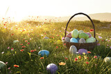 Fototapeta Psy - Easter Eggs Basket in a Flowerfield