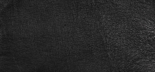 Canvas Print - texture of black leather car upholstery