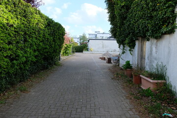 Wall Mural - FU 2021-05-04 Wind 1 Kleiner Weg führt an einer Hecke vorbei