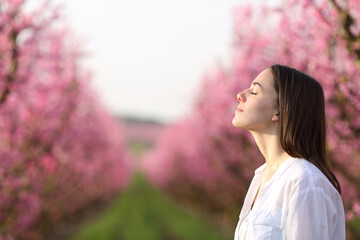 Wall Mural - Woman breathing fresh air in a beautiful field